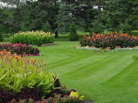 lawn and landscape
